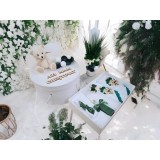 Set Trusou Botez si Lumanare, 9 Piese, cu Ursulet, Alb si Verde, din Catifea - TB250