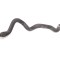 Furtun de lichid de răcire LAND ROVER RANGE ROVER SPORT II L494 2015 OEM: FPLA-8B573-CB 12314920