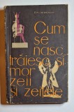 Cum se nasc, trăiesc și mor zeii și zeițele &ndash; Aut. Em. Iaroslavski, Ed. Politică, 1962