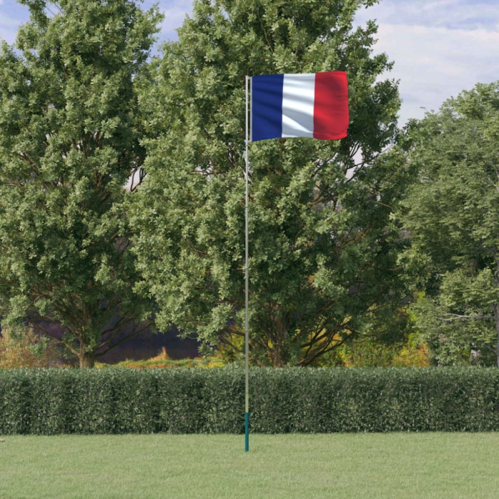 vidaXL Steag Franța și st&acirc;lp din aluminiu, 5,55 m