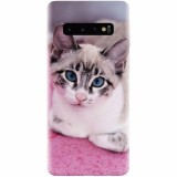 Husa silicon pentru Samsung Galaxy S10 Plus, Siamese Kitty
