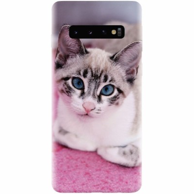 Husa silicon pentru Samsung Galaxy S10, Siamese Kitty foto