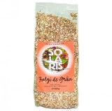 FULGI DE GRAU 500gr SOLARIS(punga)