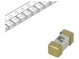 Siguranță &Icirc;nt&acirc;rziere 3A 125V SMD