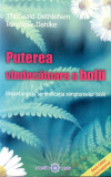 Puterea vindecatoare a bolii, 2008, Adevar Divin