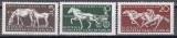 Germania RDG 1958 - Derby-ul Germaniei de Est, MNH