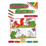 Padurea de colorat 3-5 ani