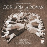 Copilaria la romani (1850&ndash;2050). Istorie si prognoza - Adrian Majaru