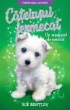 Catelusul fermecat. Un weekend de neuitat, Sue Bentley