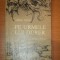 PE URMELE LUI DURER de ADINA NANU,1976