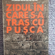 Zidul in care s-a tras cu pusca, Corneliu Radulescu, Ed Eminescu 1979, 232 pag