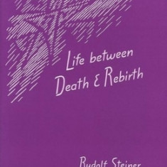 Life Between Death and Rebirth