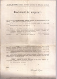 Document de asigurare Banca Oraviteana 1924