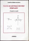 TESTE DE SINTEZA PENTRU GIMNAZIU - FUNCTII SI ECUATII-DUMITRU DOMINIC BUCESCU-349591