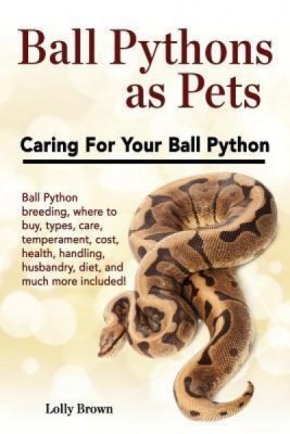 Ball Pythons as Pets: Ball Python Breeding, Where to Buy, Types, Care, Temperament, Cost, Health, Handling, Husbandry, Diet, and Much More I foto