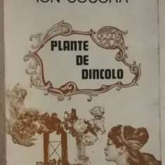 Ion Cocora - Plante de dincolo, 1983