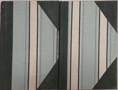 Les Trois Villes. Lourdes (2 volume) - Emile Zola foto