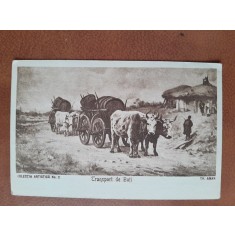 Carte postala, reproducere dupa tabloul Transport de buti/Th. Aman, perioada interbelica