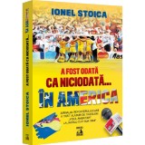 A fost odata ca niciodata... in America, Ionel Stoica