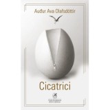 Cicatrici - Audur Ava Olafsdottir