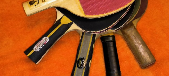 4 palete tenis masa butterfly - cornilleau - ju rapida + husa stiga