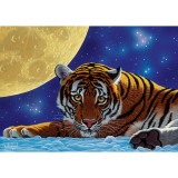 Puzzle 500 piese - Tiger Moon-William Schimmel, Jad
