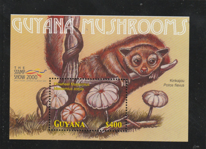 Guyana 2000-Flora,Ciuperci,Fauna,Kinkaju,colita dantelata,MNH,MiBl.670