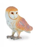 Bufnita de hambar, Collecta
