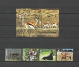 BOTSWANA 2025 FAUNA ANIMALE SALBATICE ANTILOPE