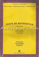 Teste De Matematica - Clasele V-VIII - Tinuta Bejan, Nicoleta Cretu foto