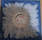 Disc Vinil Ptr.Manualul L.Romana Cls.VI - C,S, 07-Electrecord