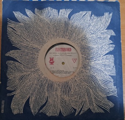 Disc Vinil Ptr.Manualul L.Romana Cls.VI - C,S, 07-Electrecord foto