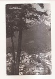 RF99 - Carte Postala - Busteni. Vedere spre Caraiman, circulata 1960