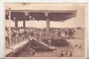 Bnk cp Mamaia - Vedere - circulata 1951 - Libraria noastra, Printata, Constanta