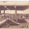 bnk cp Mamaia - Vedere - circulata 1951 - Libraria noastra