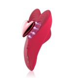 Vibrator 10 Speed Wearable Panty Rosu