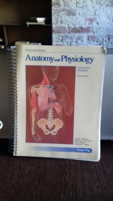 ANATOMY AND PHYSIOLOGY - HAROLD J. BENSON (ANATOMIE SI FIZIOLIGIE) foto