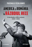 America si Romania in Razboiul Rece