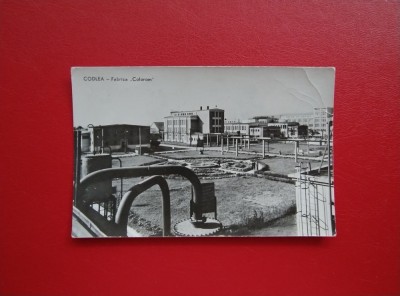 CARTE POSTALA - RPR - CODLEA - FABRICA COLOROM foto