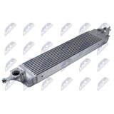 Intercooler Nissan X-Trail 2 (07-13) 2.0 Dci, Koleos, (08-) 2.0 Dci (Diesel), 14461JG70B