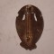 Insigna Brasov 1921 - 2