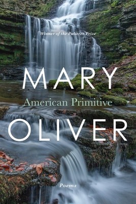 American Primitive foto