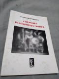 Cumpara ieftin CARAGIALE IN CONSTIINTA CRITICA-CONSTANTIN CUBLESAN AUTOGRAF AUTOR