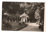 CPIB 21804 - CARTE POSTALA - GOVORA. IZVORUL &quot;30 DECEMBRIE&quot;, RPR, Circulata, Fotografie
