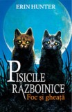 Foc si gheata. Seria Pisicile razboinice Vol.2 - Grupul All