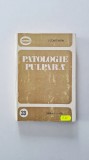 Patologie pulpara I. Constantin 1981 Medicina Stomatologica