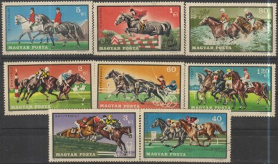 Lot de timbre cu cai foto