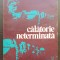 Călătorie neterminată - Yehudi Menuhin