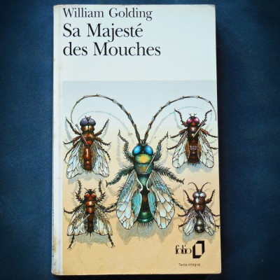 SA MAJESTE DES MOUCHES - WILLIAM GOLDING foto