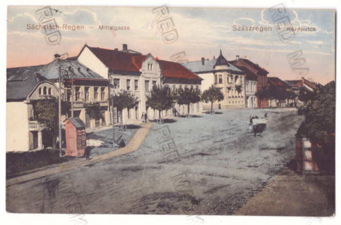 4017 - REGHIN, Mures, Market, Romania - old postcard - used - 1915